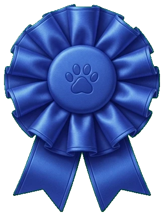 Blue backyard ribbon