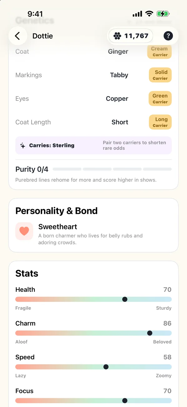 A kitten's genetics with visible and carried traits