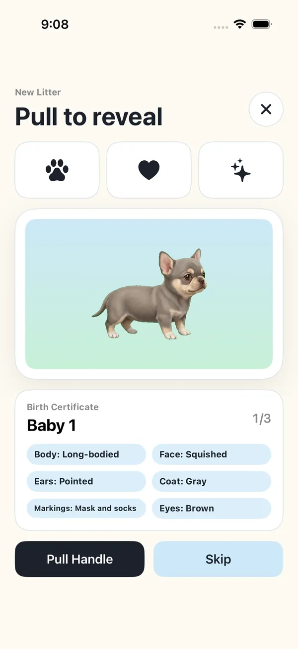 Revealing a new puppy