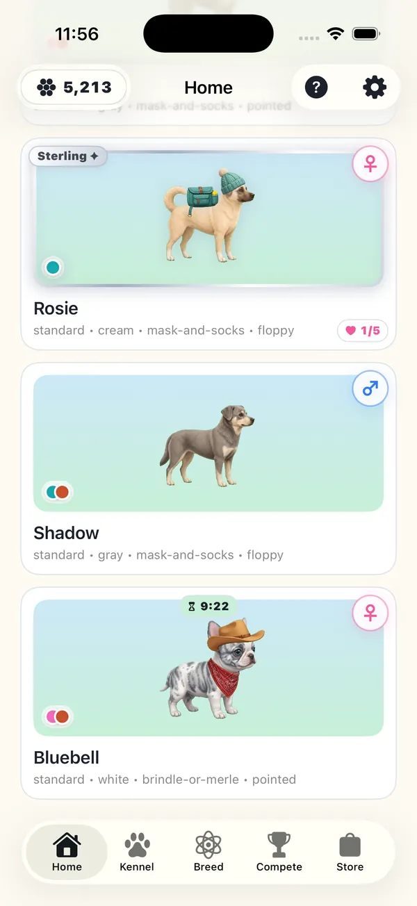 Your kennel of dogs dressed in props