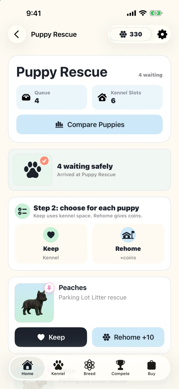 Deciding whether to keep or rehome a rescued puppy