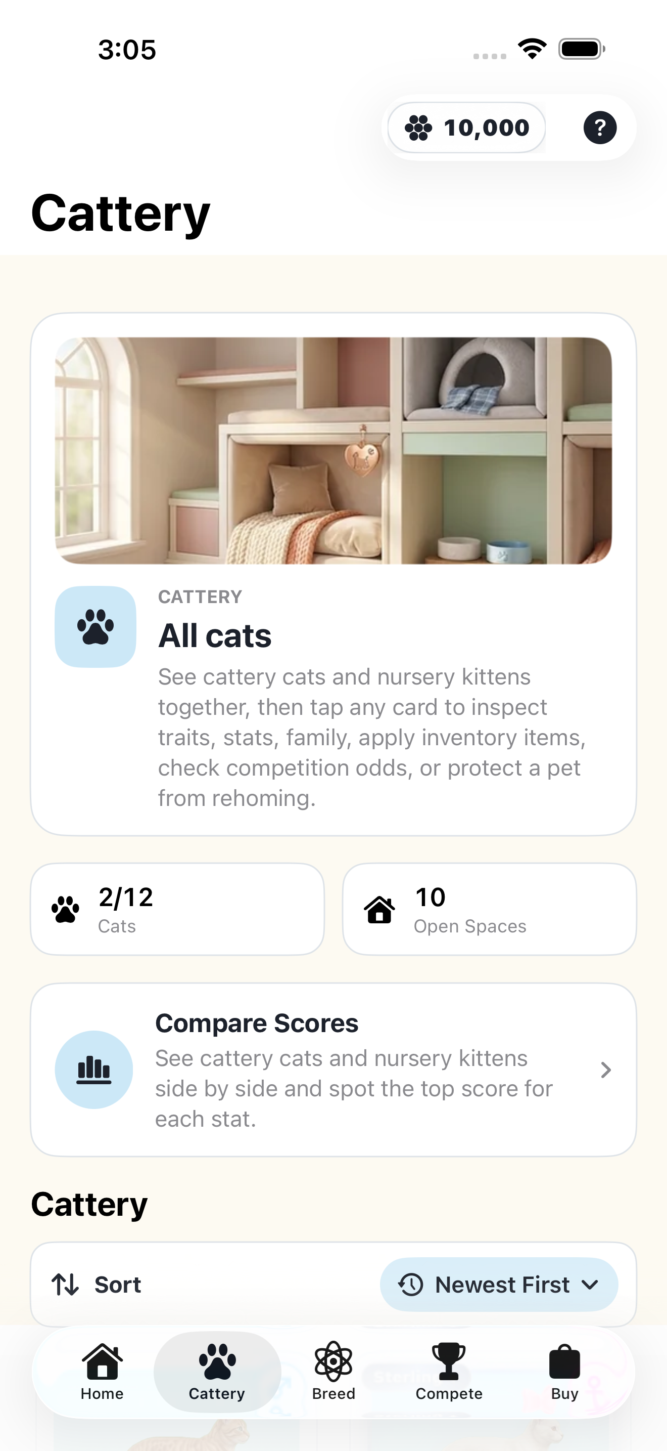 The cattery with your cats