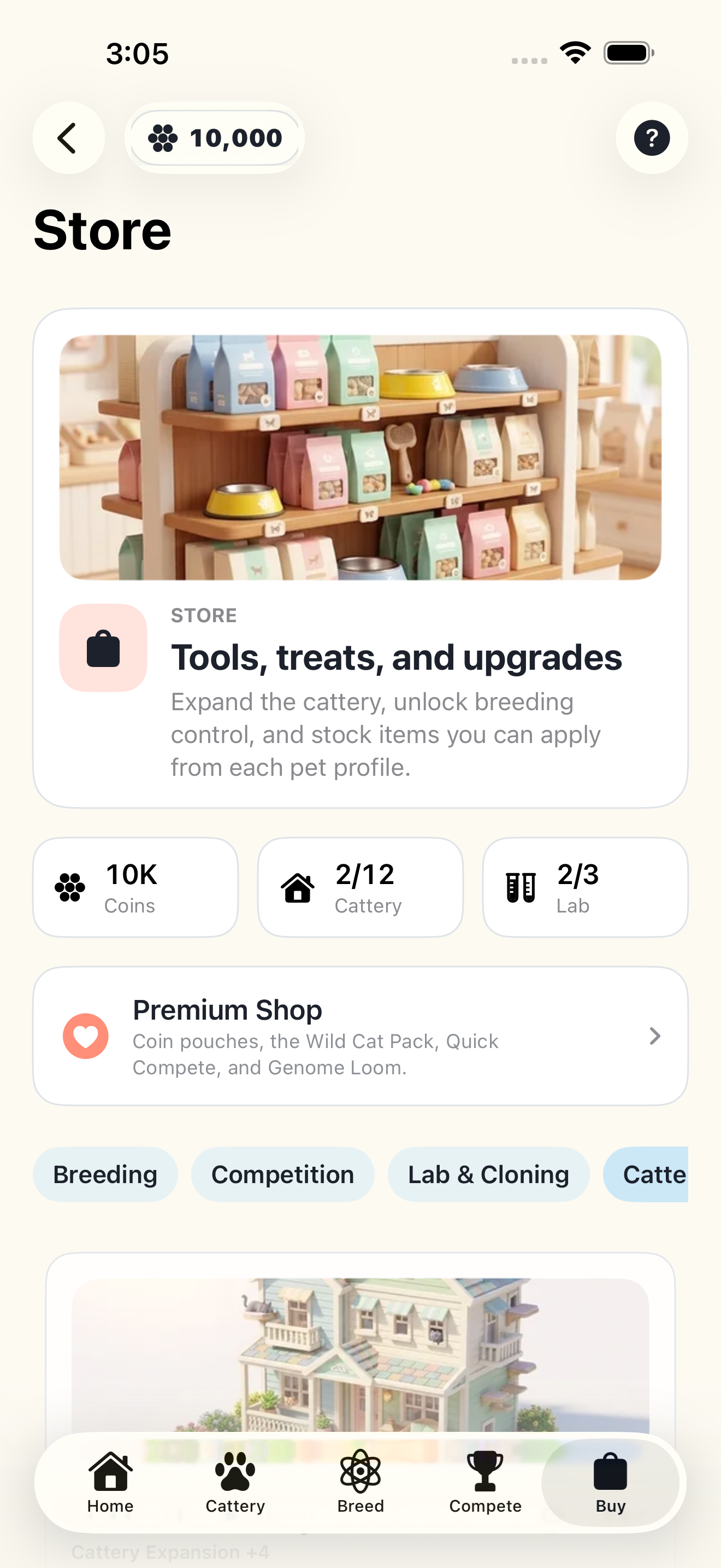 The in-game store