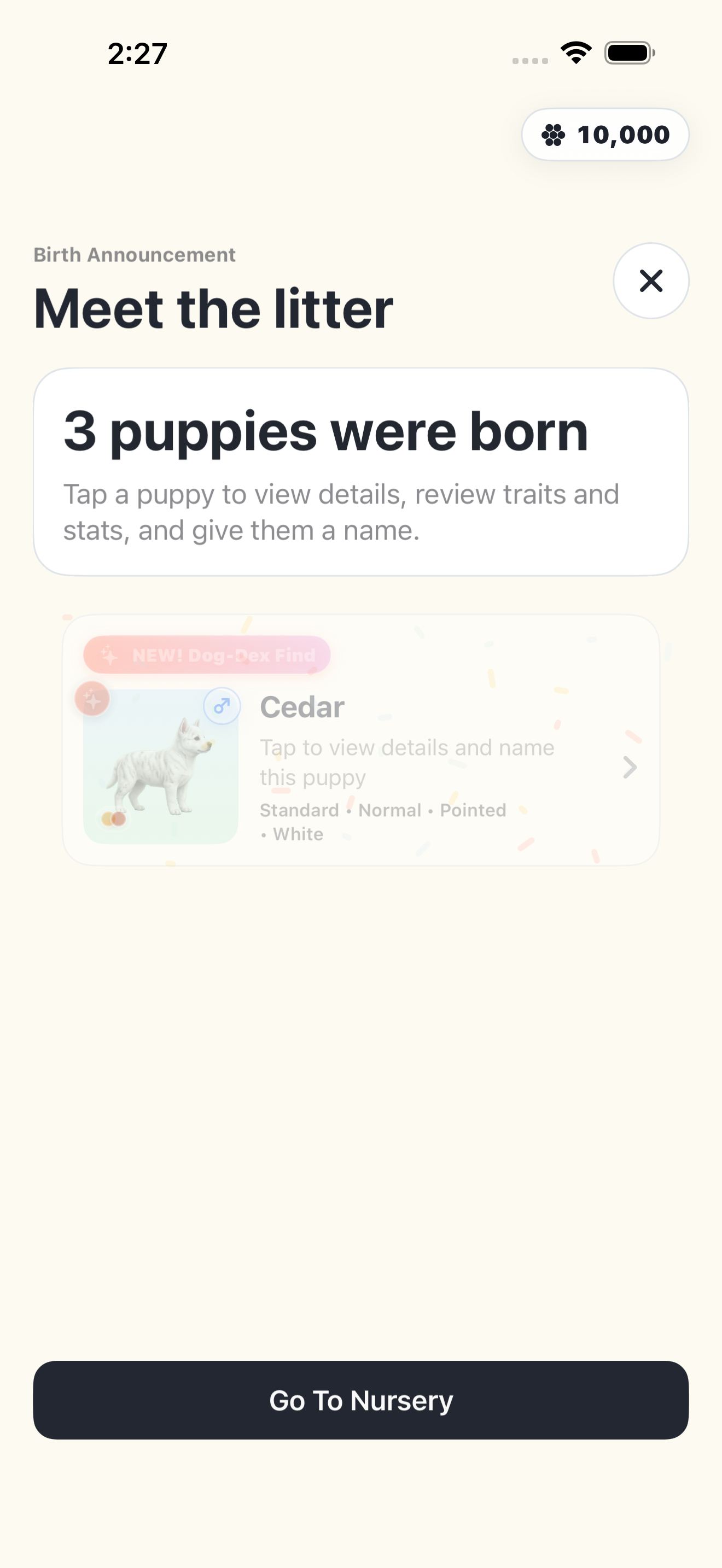 A new puppy being revealed