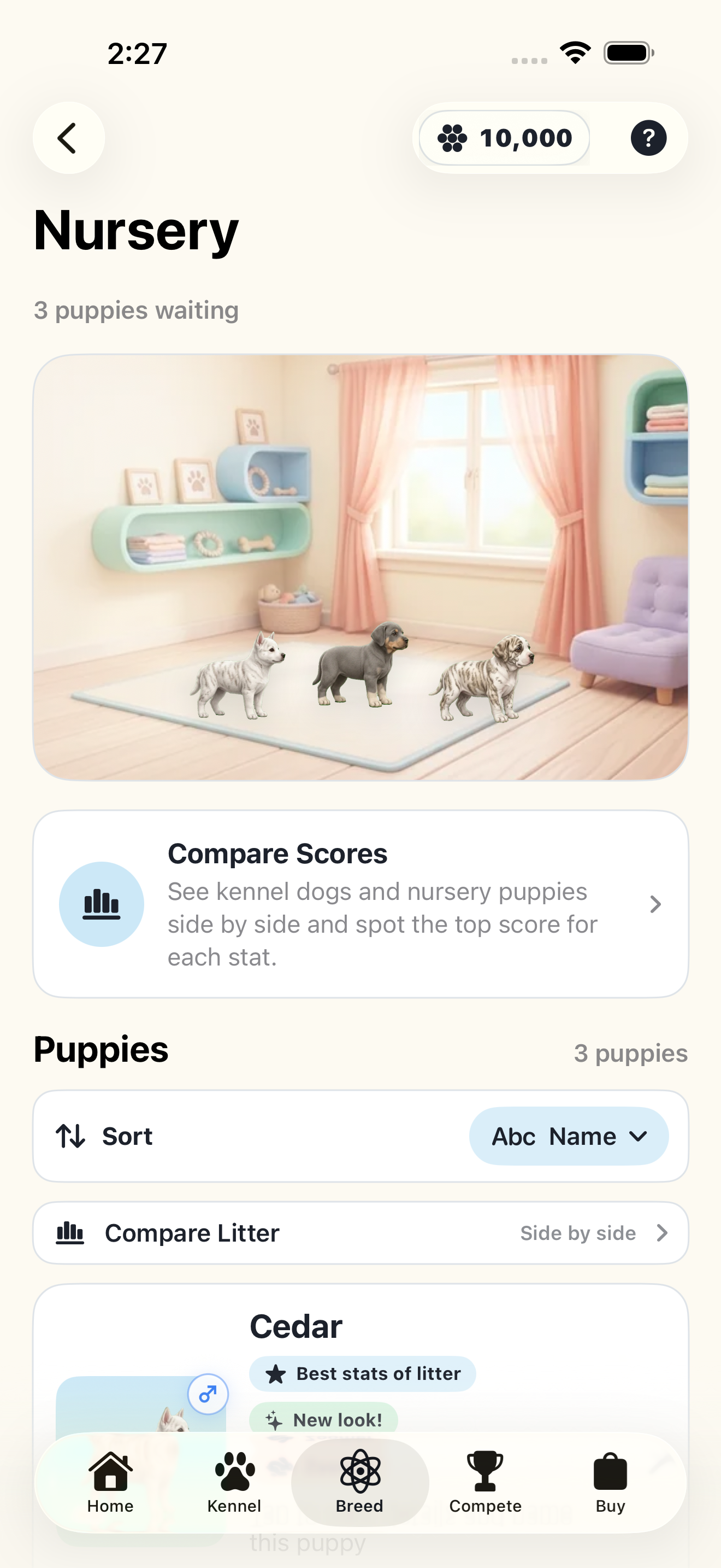 Puppies in the nursery