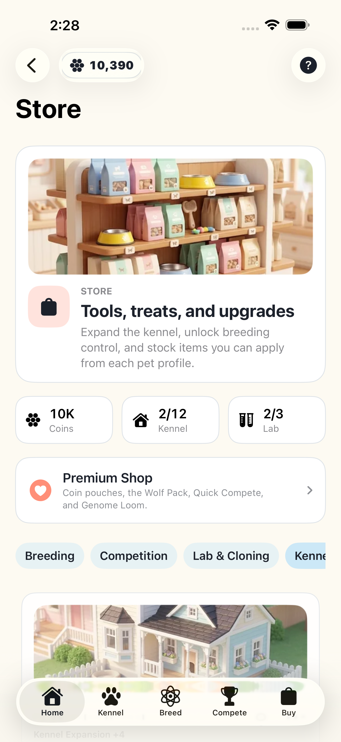 The in-game store
