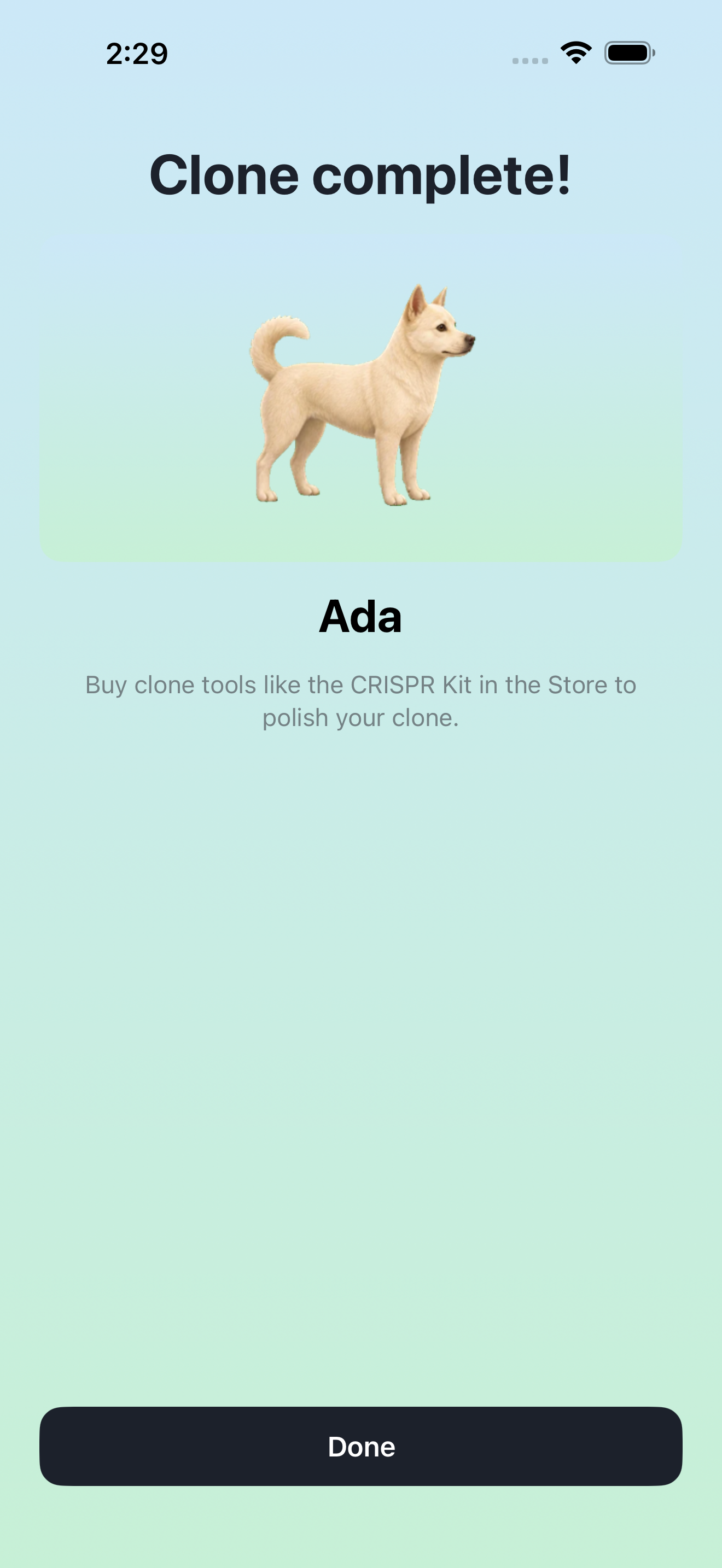 A cloned dog being revealed